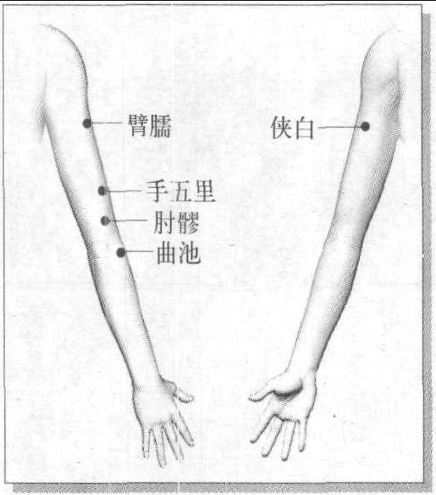 第四節(jié) 臂部減肥